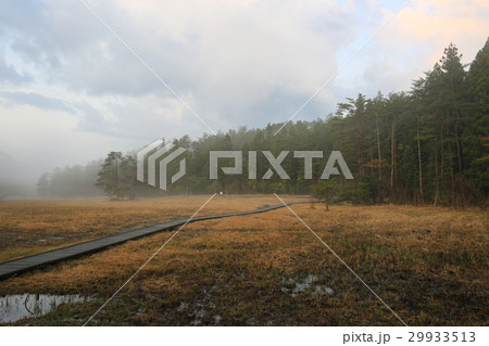 徳島県三好市　黒沢湿原 29933513