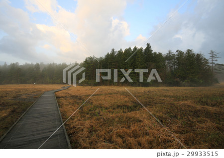 徳島県三好市　黒沢湿原 29933515