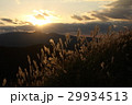夕焼けとススキ 29934513