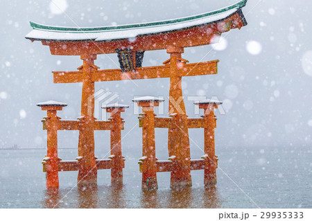 雪の大鳥居 29935333