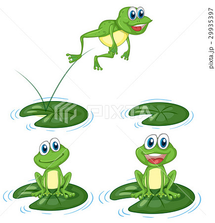 Green Frogs Jumping On Water Lily Leavesのイラスト素材