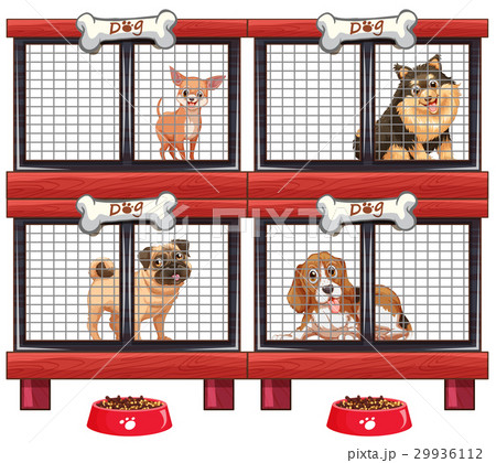 Four types of dogs in cage 29936112