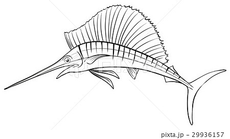 Animal outline for swordfish 29936157