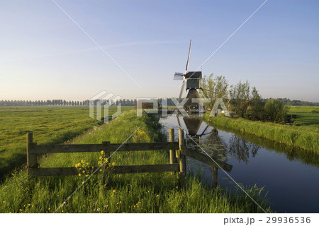 Gate in front of a windmill 29936536