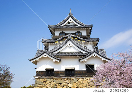 桜咲く春の彦根城 29938290