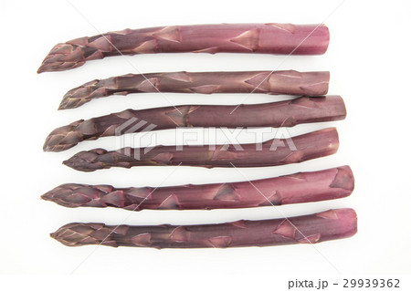 紫アスパラガス: Purple asparagus 29939362