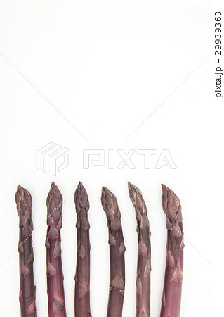紫アスパラガス: Purple asparagus 29939363