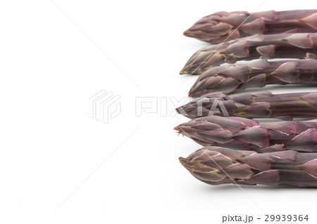 紫アスパラガス: Purple asparagus 紫アスパラガス: Purple asparagus 29939364