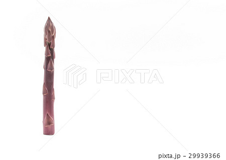 紫アスパラガス: Purple asparagus 29939366