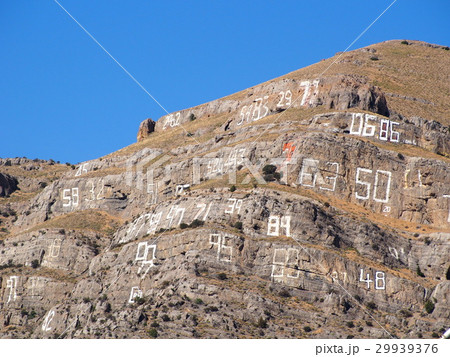 ナンバーヒル 29939376