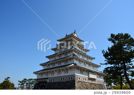 春の島原城 29939600