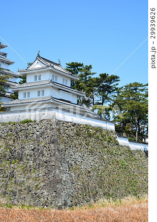 春の島原城 29939626