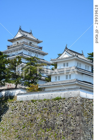 春の島原城 29939628