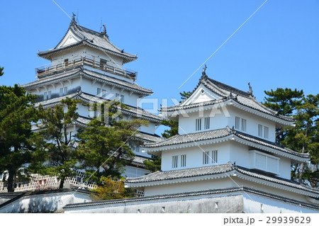 春の島原城 春の島原城 29939629