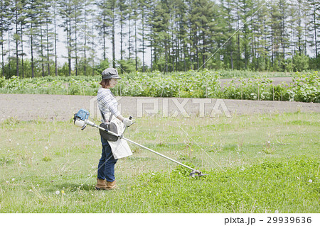 草刈り作業をする女性の写真素材