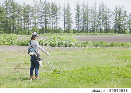 草刈り作業をする女性の写真素材