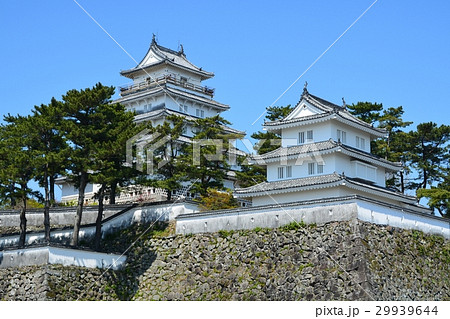 春の島原城 29939644