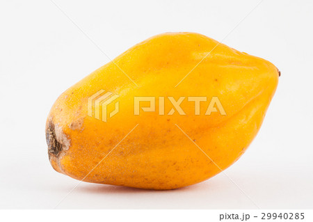 Mountain papaya (Vasconcellea pubescens) isolated Mountain papaya (Vasconcellea pubescens) isolated 29940285
