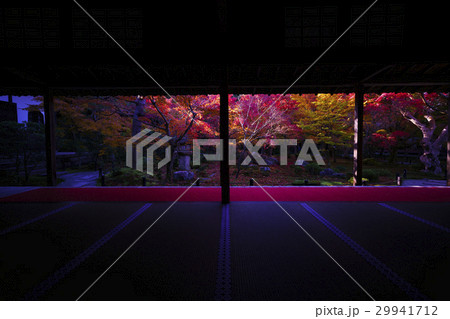 圓光寺の座敷から眺める紅葉の日本庭園 その3 圓光寺の座敷から眺める紅葉の日本庭園 その3 29941712