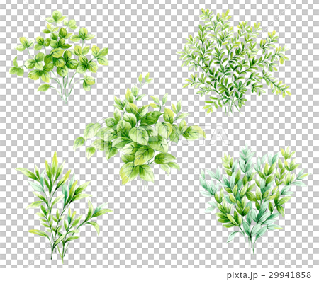 Grinleaf Grinleaf 29941858