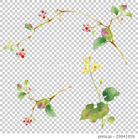 花素描 花素描 29941859