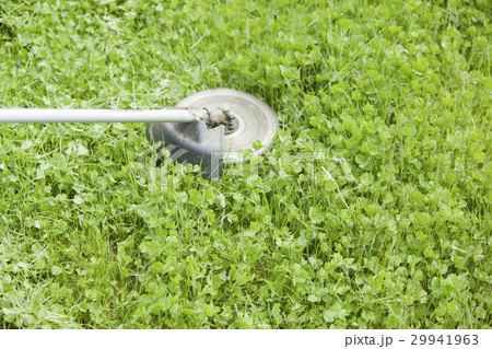 草刈り　芝刈り 29941963