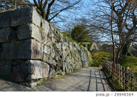 春の福岡城　福岡城跡 29946564