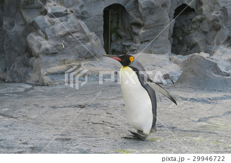 南極大陸 南 南方 29946722