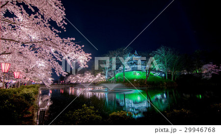上越　高田城　高田公園　夜桜　桜 29946768