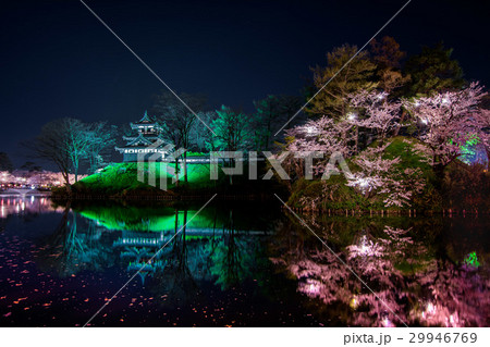上越　高田城　高田公園　夜桜　桜 29946769