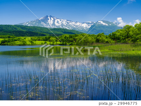 扇谷地溜池と鳥海山 29946775