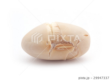 Closeup of soy beans on white background. 29947337