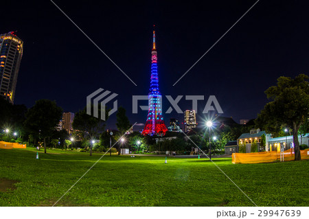 東京タワー　「リオ五輪　金メダル」ライトアップ 29947639