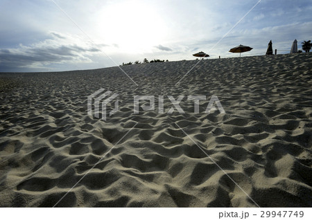 ロスカボスの砂浜 29947749