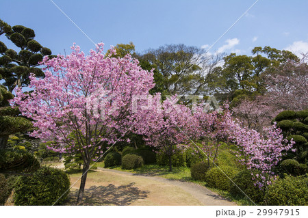 小城公園 29947915