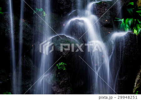 王子 名主の滝 王子 名主の滝 29948251