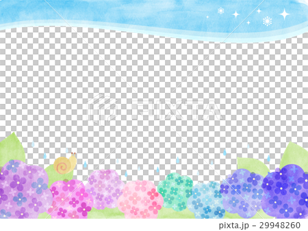 hydrangea hydrangea 29948260