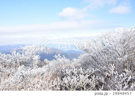 樹氷 御在所にて 樹氷 御在所にて 29949457