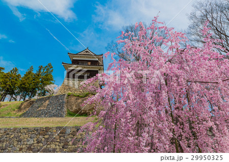 上田城の櫓と枝垂桜 29950325