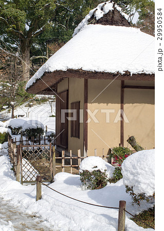 雪を冠った縮景園の夕照庵 29950584