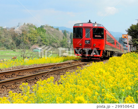 久大本線　引治駅を通過する、ゆふ4号 29950642