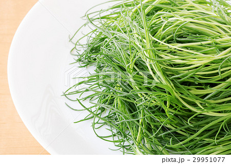 おかひじき 29951077