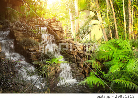 Waterfall in tropical garden 29951315