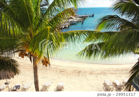 Palm trees, sea waves and beach, Cancun, Mexico 29951317