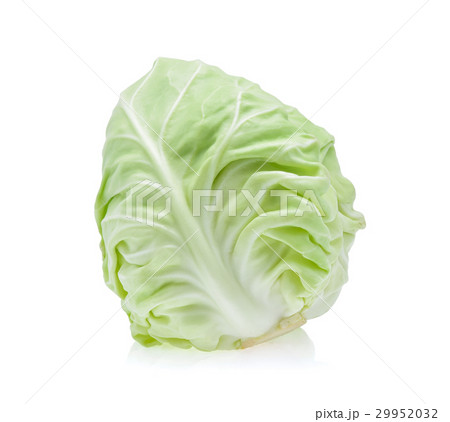 pointed cabbage isolated on white background 29952032