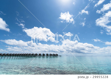 モルディブ リゾート 南の島 海 サンゴ礁 水上コテージ 29955228