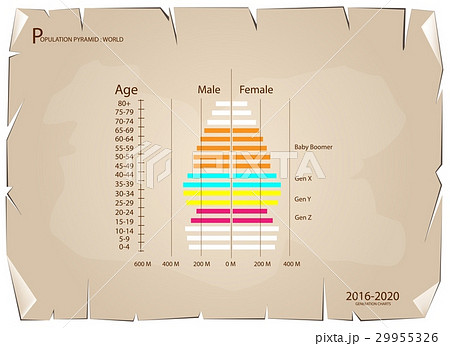 2016-2020 Population Pyramids Graphs 29955326