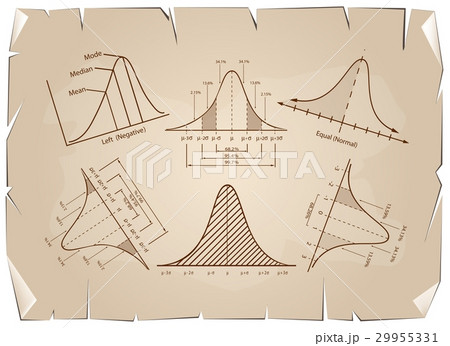 Normal Distribution Diagram or Bell Curve 29955331