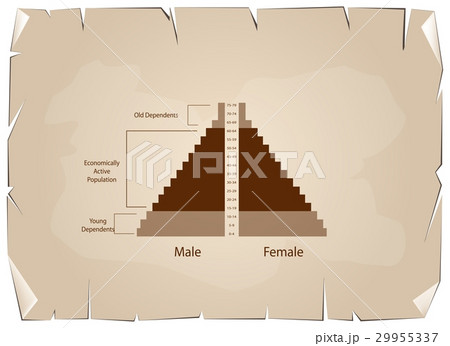 Detail of Population Pyramids Graphs Depend on Age 29955337
