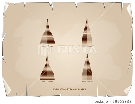 The 4 Types of Population Pyramids Graphs 29955338